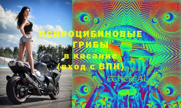 бутират Алзамай