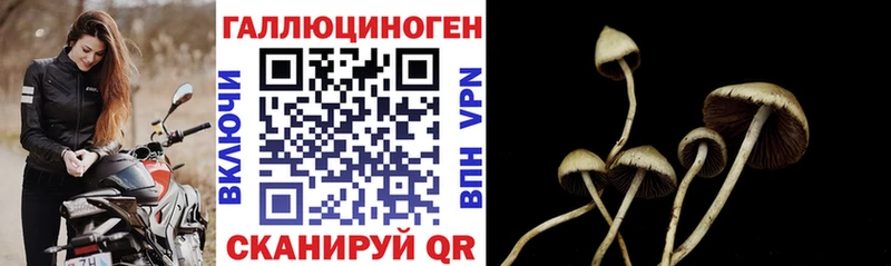 Галлюциногенные грибы Cubensis  Ужур 